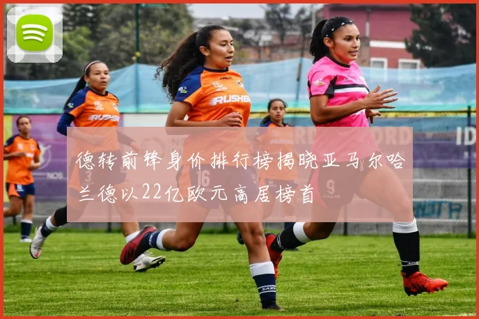 德转前锋身价排行榜揭晓亚马尔哈兰德以22亿欧元高居榜首